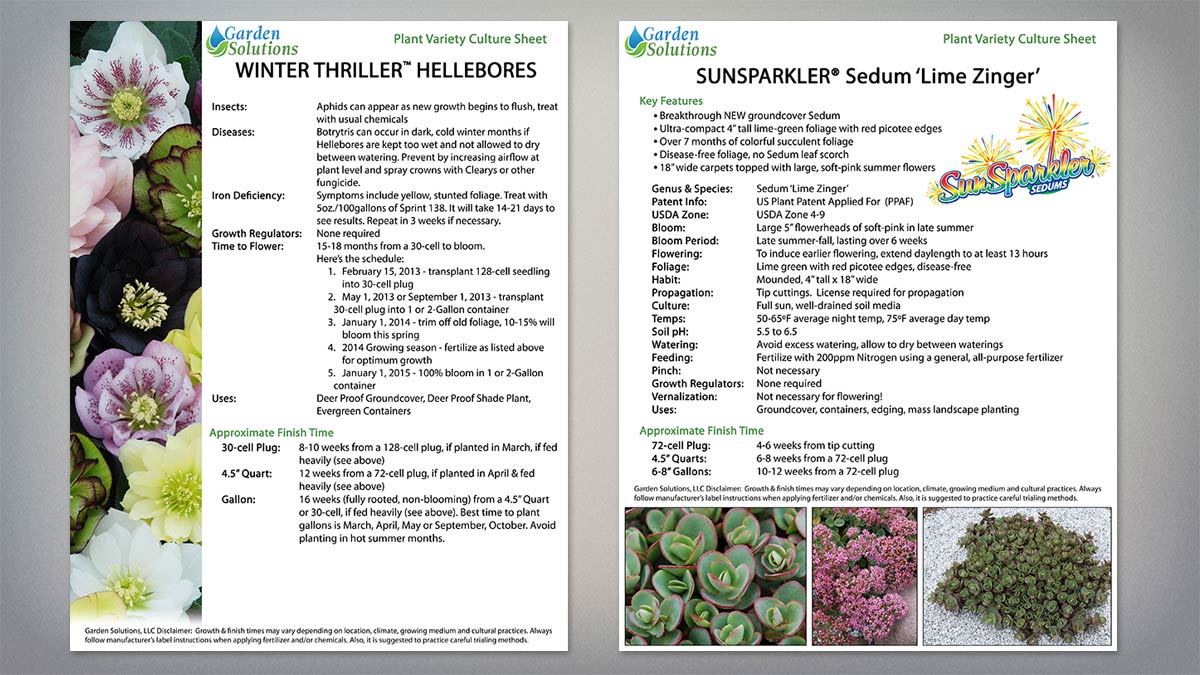 Garden Solutions - Brochures