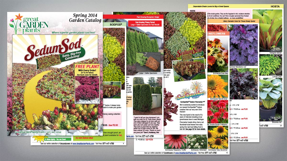 Great Garden Plants - Catalog